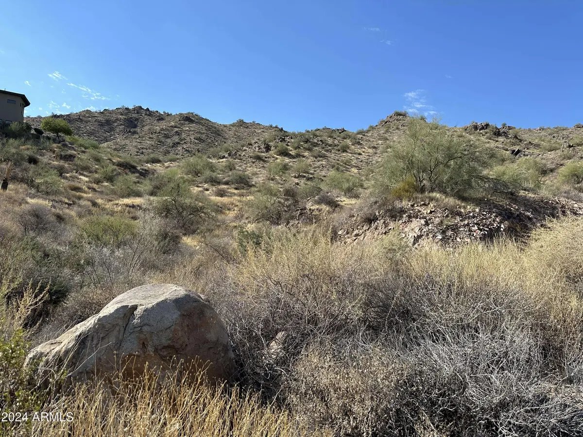 Standing on the lot at ground level, with granite boulders and native desert planting